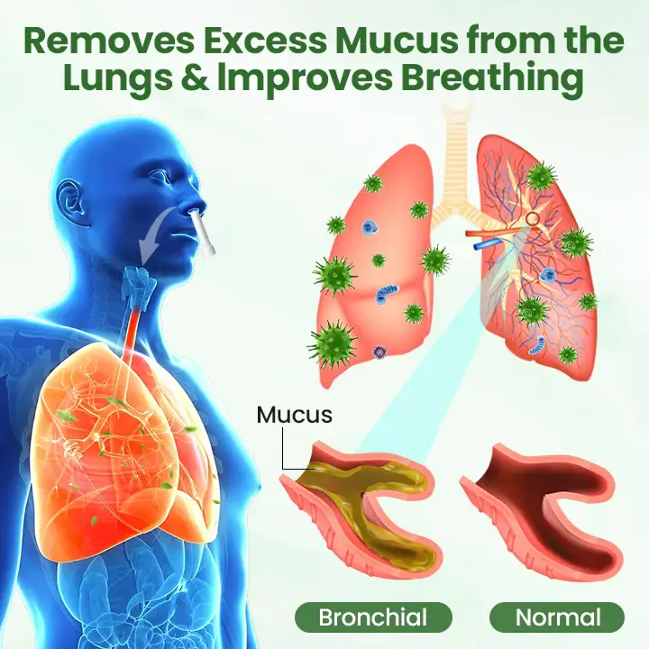 Timilk® LungPure Herbal Detox Inhaler 6 Timilk® LungPure Herbal Detox Inhaler