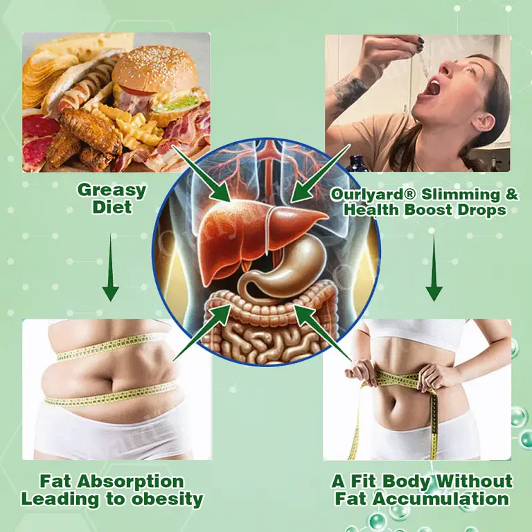 Ourlyard® GLP-1 Slimming & Health Boost Drops 4 Ourlyard® GLP-1 Slimming & Health Boost Drops
