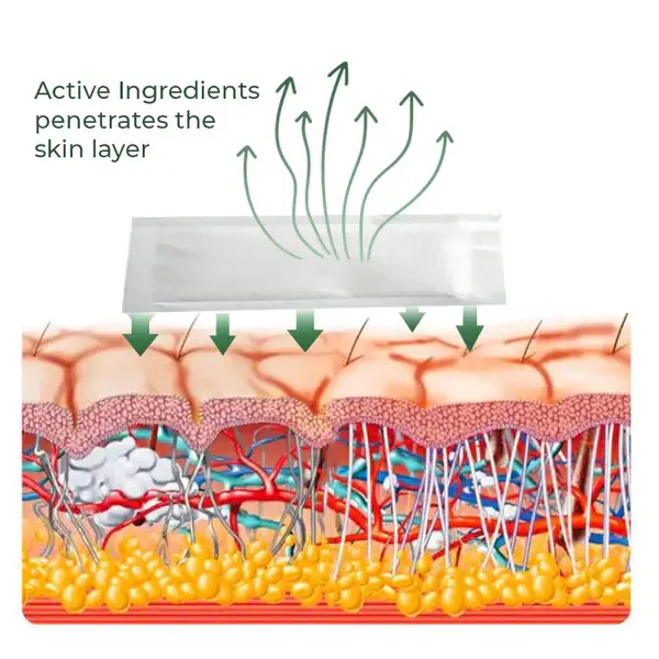 Cvreoz® Varicose Vein Relief Herbal Foot Patch 9 Cvreoz® Varicose Vein Relief Herbal Foot Patch