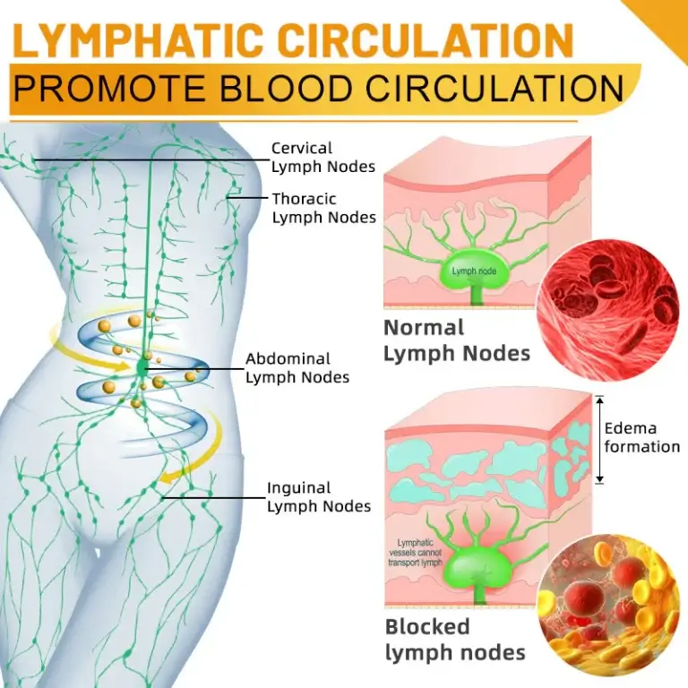 GFOUK ™ ThermoFirm Bee Venom Lymph Detox Oil 6 GFOUK ™ ThermoFirm Bee Venom Lymph Detox Oil