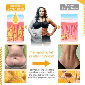 GFOUK ™ ThermoFirm Bee Venom Lymph Detox Oil 13 GFOUK ™ ThermoFirm Bee Venom Lymph Detox Oil