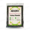 AEXZR® Sacred Bonsai Lotus Seeds