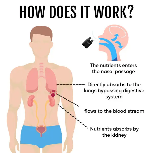 Cvreoz® Kidney Boost & Care Inhaler 4 Cvreoz® Kidney Boost & Care Inhaler
