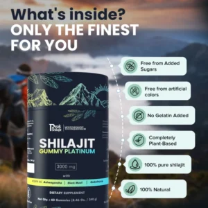 SHILAJIT GUMMY PLATINUM 20 SHILAJIT GUMMY PLATINUM