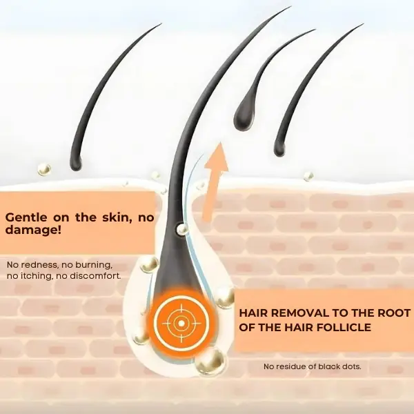 BareBliss™ | Stop 97% of hormonal hair growth at the root in just 4 days 3 BareBliss™ | Stop 97% of hormonal hair growth at the root in just 4 days