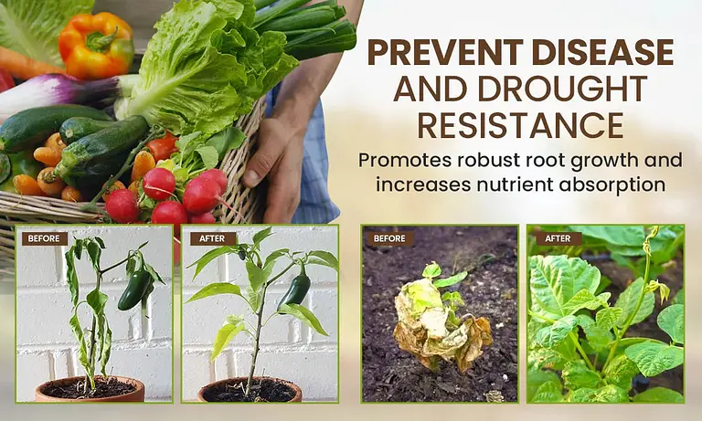 Seasonal Promotion – 49% OFF – Soil Pro Activator 6 Seasonal Promotion – 49% OFF – Soil Pro Activator