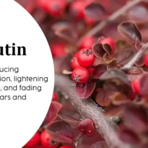 Fivfivgo™ WartsOff Instant Blemish Removal Cream – PREMIUM 14 Fivfivgo™ WartsOff Instant Blemish Removal Cream – PREMIUM