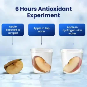 AliveBlue Hydrogen Bottle at a Glance 30 AliveBlue Hydrogen Bottle at a Glance