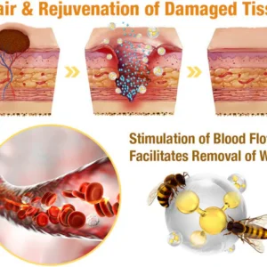 Fivfivgo™ 7-Day Multi-Effect All-in-One Skincare Cream 13 Fivfivgo™ 7-Day Multi-Effect All-in-One Skincare Cream