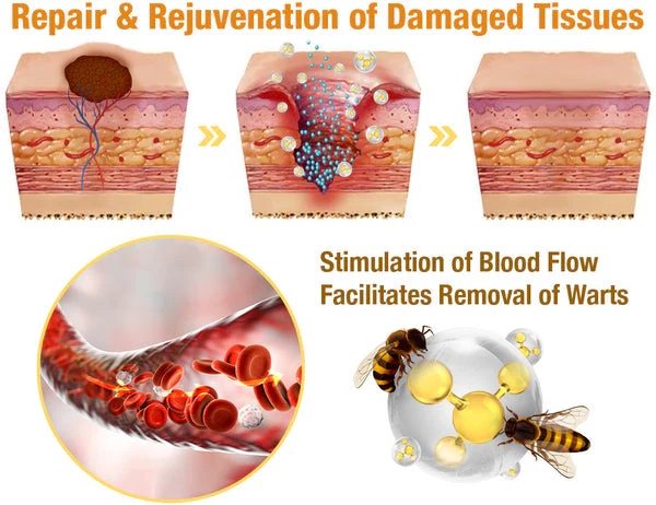 Fivfivgo™ 7-Day Multi-Effect All-in-One Skincare Cream 2 Fivfivgo™ 7-Day Multi-Effect All-in-One Skincare Cream