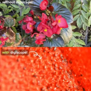 The DigiScope™ – digital microscope 10 The DigiScope™ – digital microscope