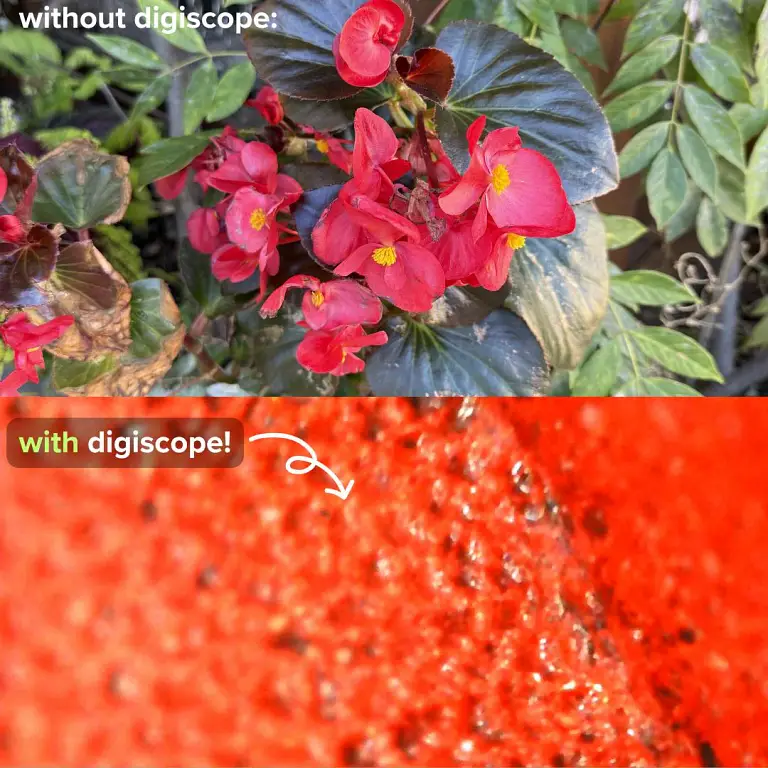 The DigiScope™ – digital microscope 4 The DigiScope™ – digital microscope