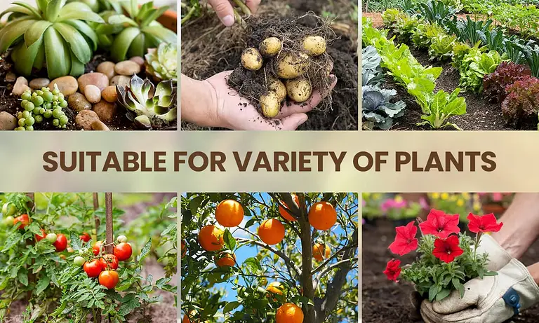 Seasonal Promotion – 49% OFF – Soil Pro Activator 3 Seasonal Promotion – 49% OFF – Soil Pro Activator