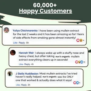 Nuv® - Mullein + Chlorophyll Lung Drops 8 Nuv® - Mullein + Chlorophyll Lung Drops