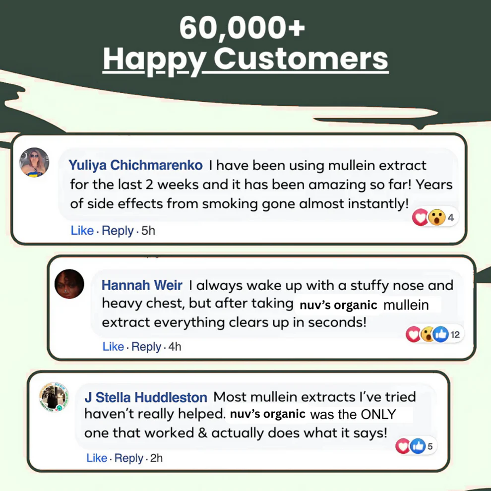 Nuv® - Mullein + Chlorophyll Lung Drops 4 Nuv® - Mullein + Chlorophyll Lung Drops