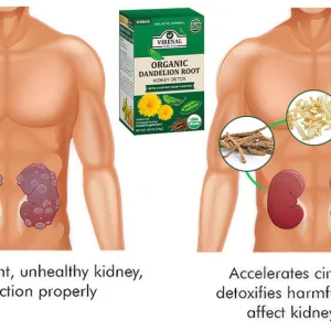 VIRENAL WEBAG™ Organic Dandelion Root Kidney Detox 9 VIRENAL WEBAG™ Organic Dandelion Root Kidney Detox