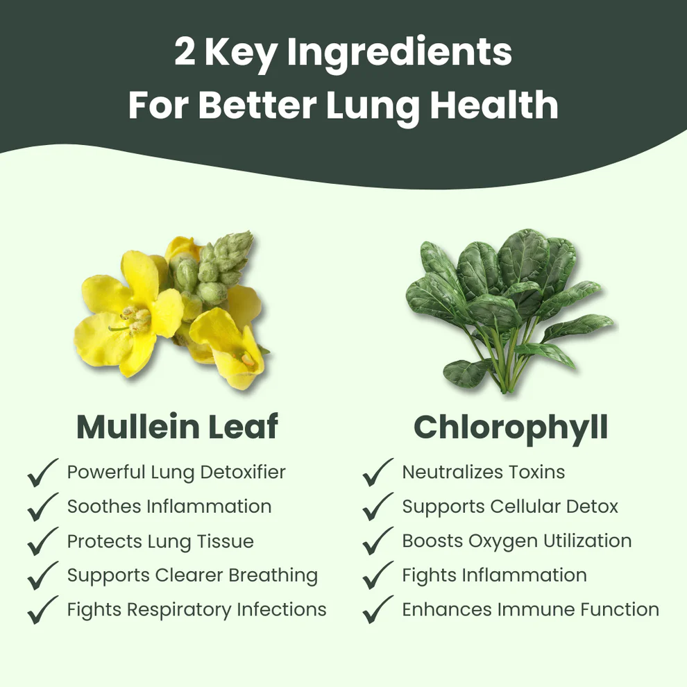 Nuv® - Mullein + Chlorophyll Lung Drops 3 Nuv® - Mullein + Chlorophyll Lung Drops