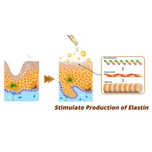 Newyuo™ Cordyceps Firming Repair Serum