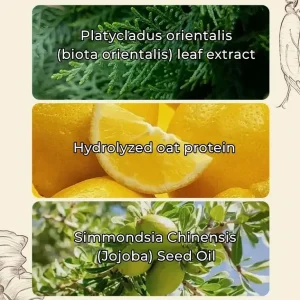 LOVILDS™ Ginseng Ginger Anti-Hair Loss Shampoo 300ml