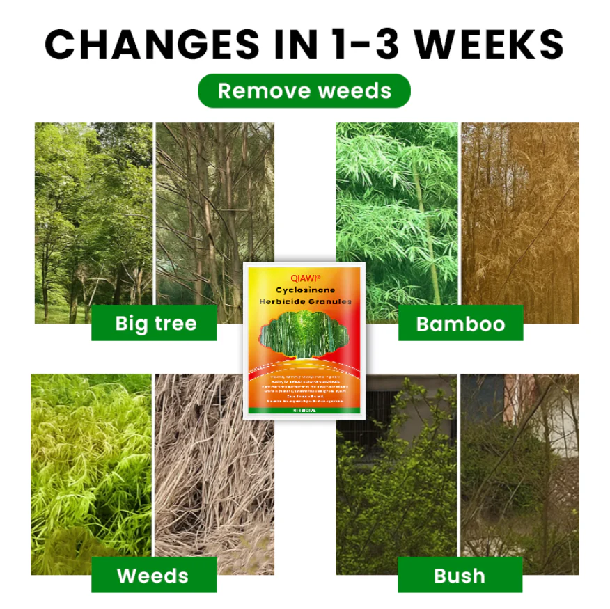 QIAWI® Cyclosinone Herbicide Granules 3 QIAWI® Cyclosinone Herbicide Granules