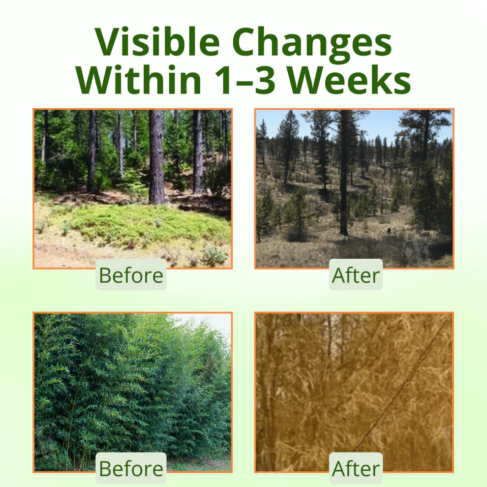 AEXZR® Cyclosinone Herbicide Granules 9 AEXZR® Cyclosinone Herbicide Granules