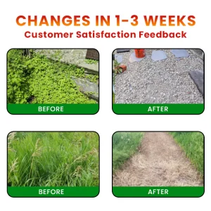 QIAWI® Cyclosinone Herbicide Granules 8 QIAWI® Cyclosinone Herbicide Granules