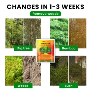 LIMETOW® Cyclosinone Herbicide Granules