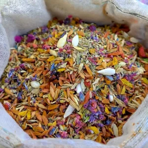 GFOUK® Charming Blossom Seeds 12 GFOUK® Charming Blossom Seeds