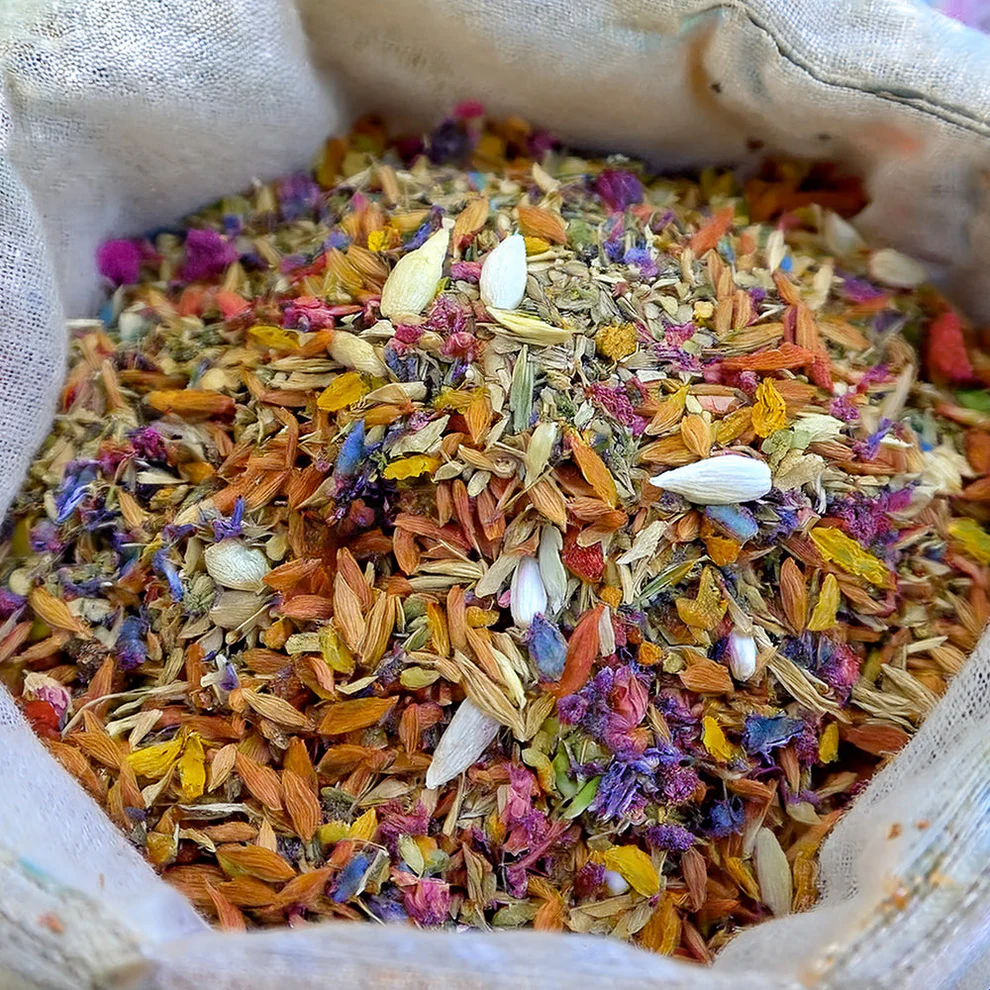 GFOUK® Charming Blossom Seeds 4 GFOUK® Charming Blossom Seeds