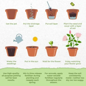 GFOUK® Charming Blossom Seeds 11 GFOUK® Charming Blossom Seeds