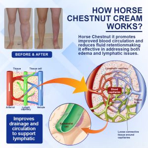 Elycura™ Lymphatic Drainage Massage Cream 5 Elycura™ Lymphatic Drainage Massage Cream